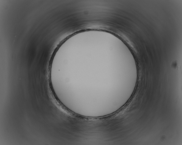 X0000091680848200708231106
