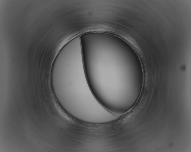 X0000091680850200708231106