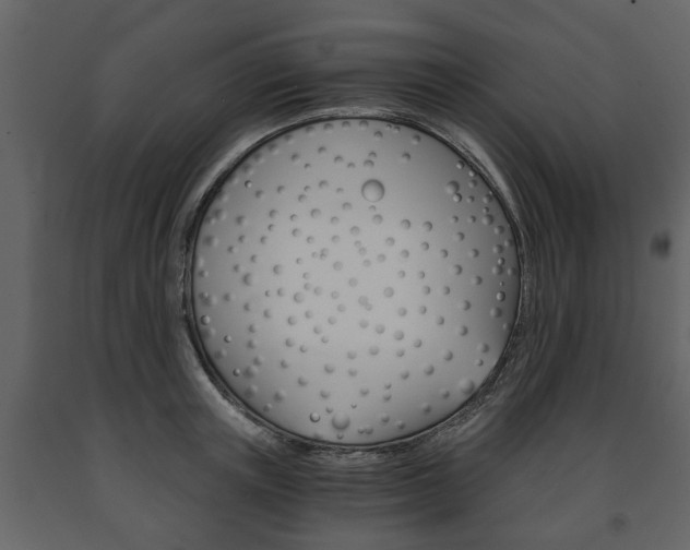 X0000091680851200708231106