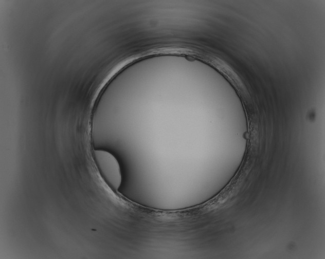 X0000091680852200708231106