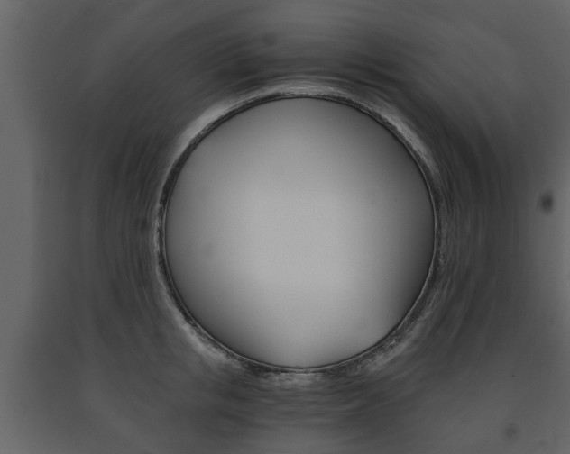 X0000091680853200708231106