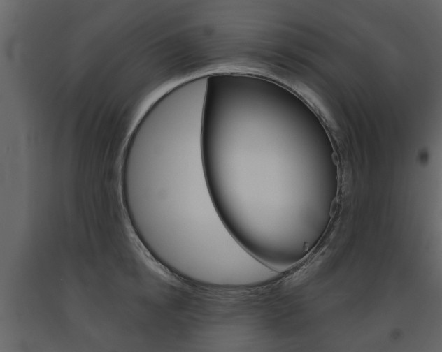 X0000091680854200708231106