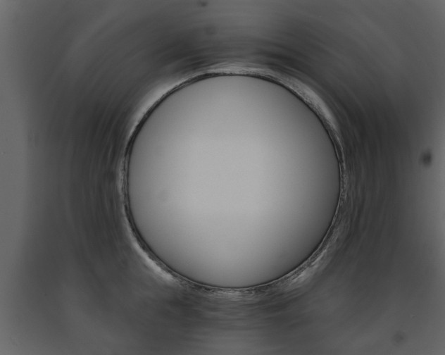 X0000091680855200708231106