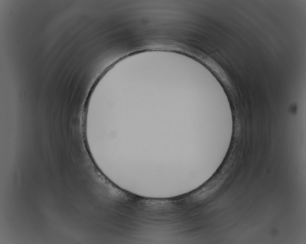 X0000091680856200708231106