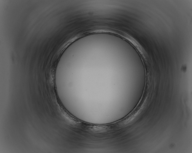 X0000091680857200708231106
