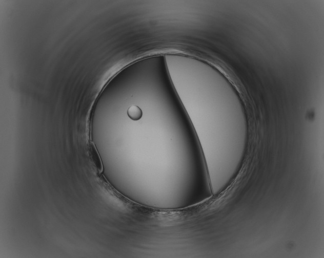 X0000091680858200708231106