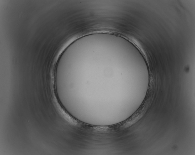 X0000091680859200708231106