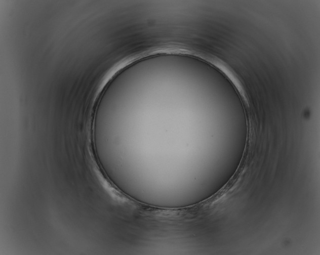 X0000091680861200708231106
