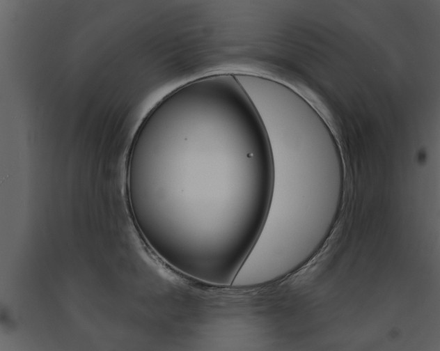X0000091680862200708231106