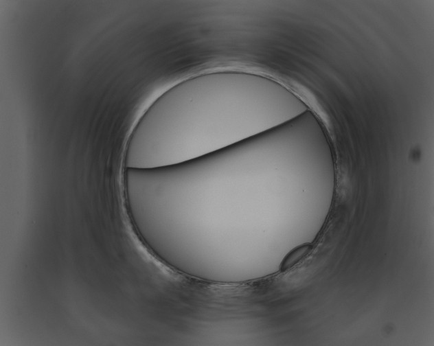X0000091680863200708231106