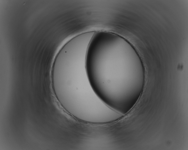 X0000091680864200708231106