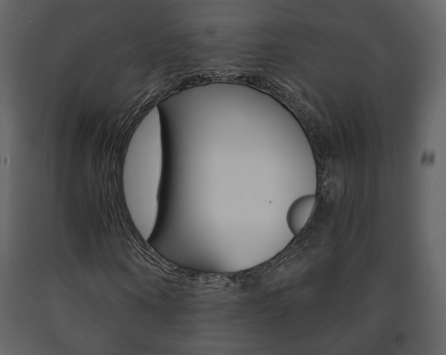 X0000091680866200708231105