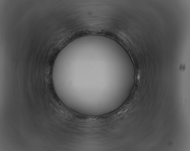X0000091680867200708231105