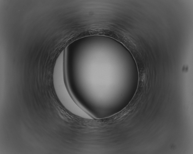 X0000091680868200708231105