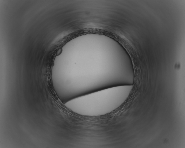 X0000091680870200708231105