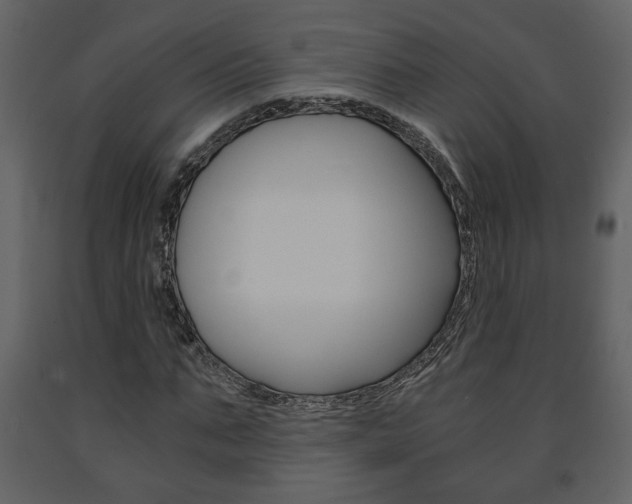 X0000091680871200708231105