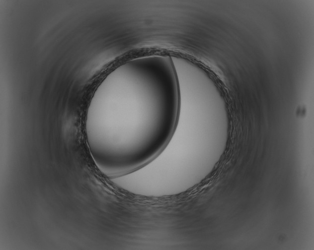 X0000091680872200708231105