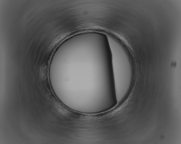 X0000091680873200708231105