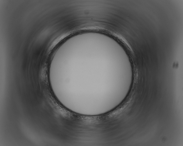 X0000091680874200708231105