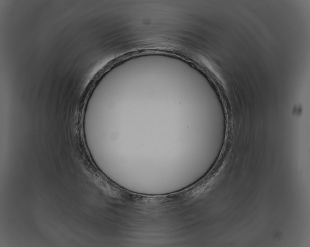 X0000091680875200708231105