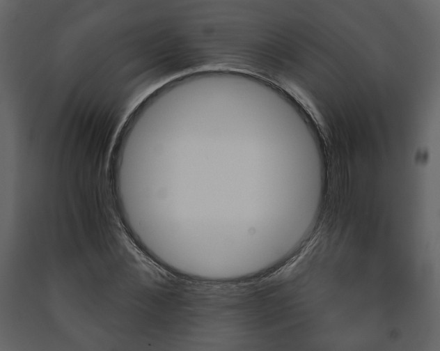 X0000091680876200708231105