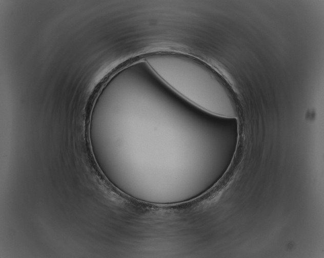 X0000091680877200708231105