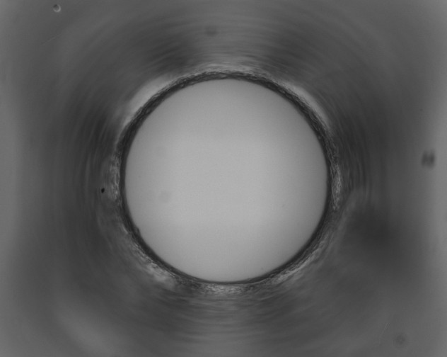 X0000091680878200708231105