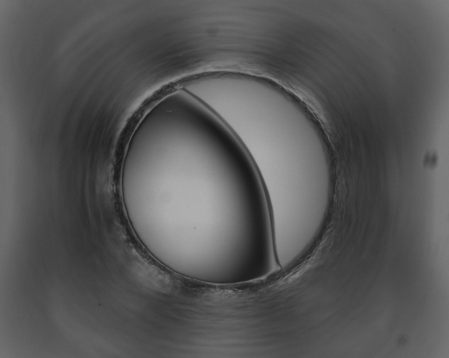 X0000091680880200708231105