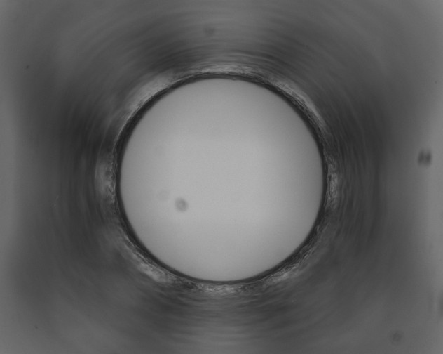 X0000091680882200708231105