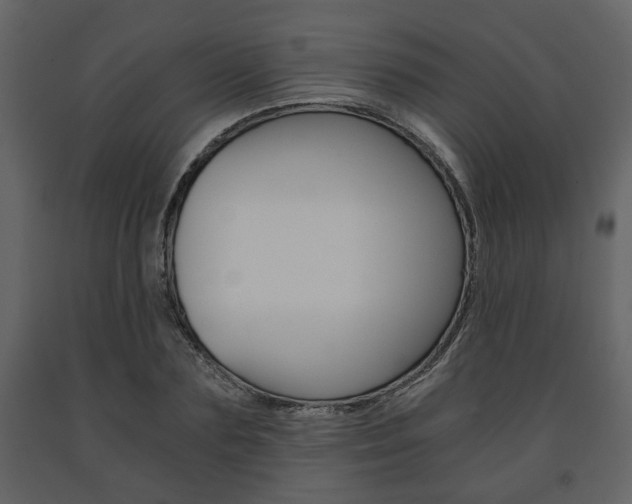 X0000091680883200708231105