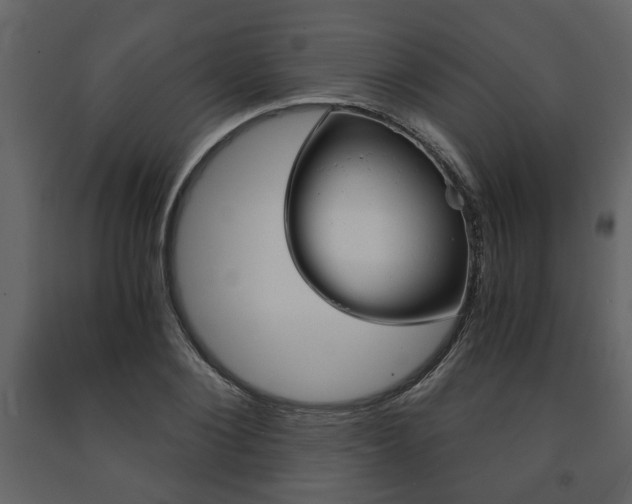 X0000091680884200708231105