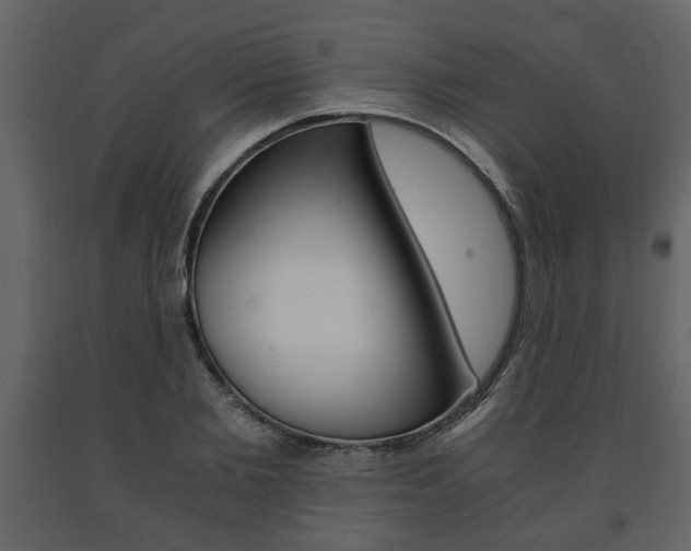 X0000091680885200708231105