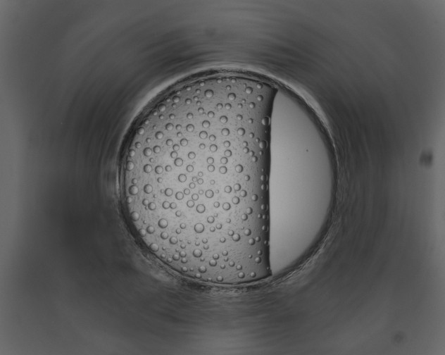 X0000091680887200708231105