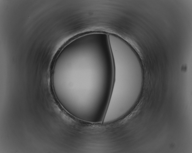 X0000091680888200708231105