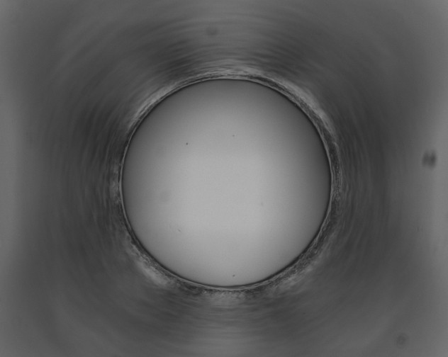X0000091680889200708231105
