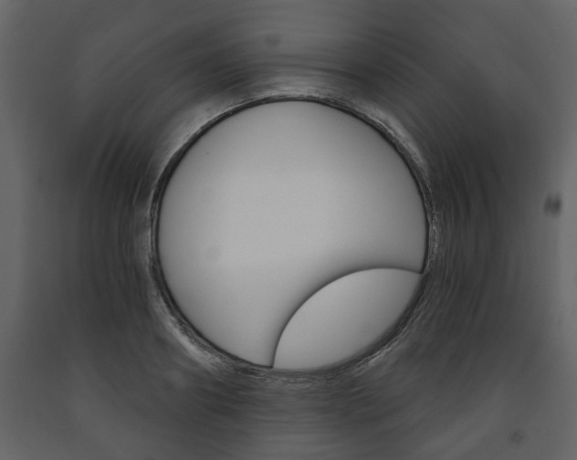 X0000091680890200708231105