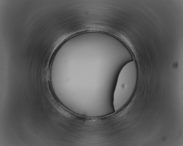 X0000091680891200708231105