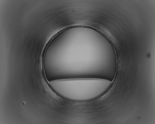 X0000091680892200708231105