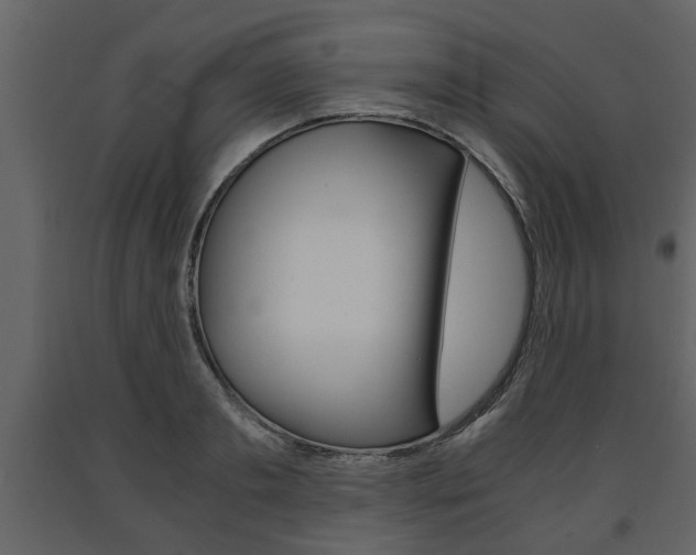 X0000091680893200708231105