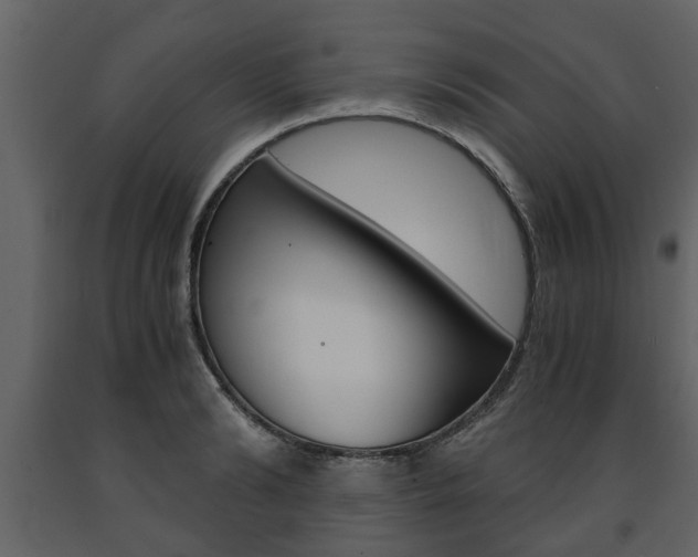 X0000091680894200708231105