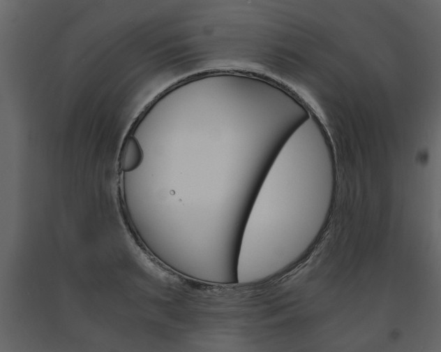 X0000091680895200708231105