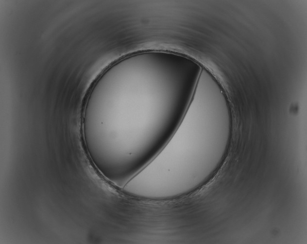 X0000091680896200708231105