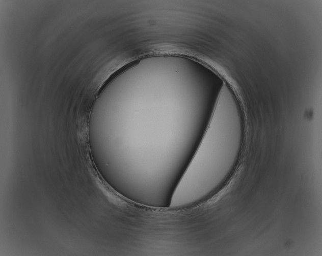 X0000091680897200708231105