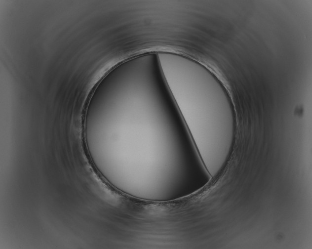 X0000091680898200708231105