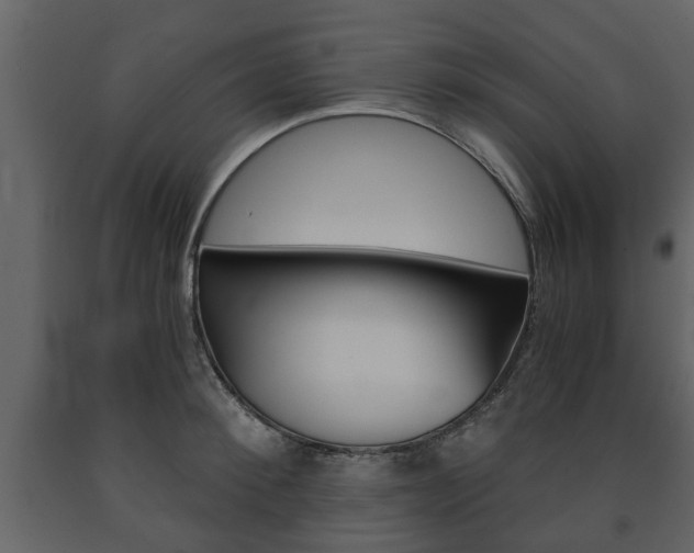 X0000091680900200708231105