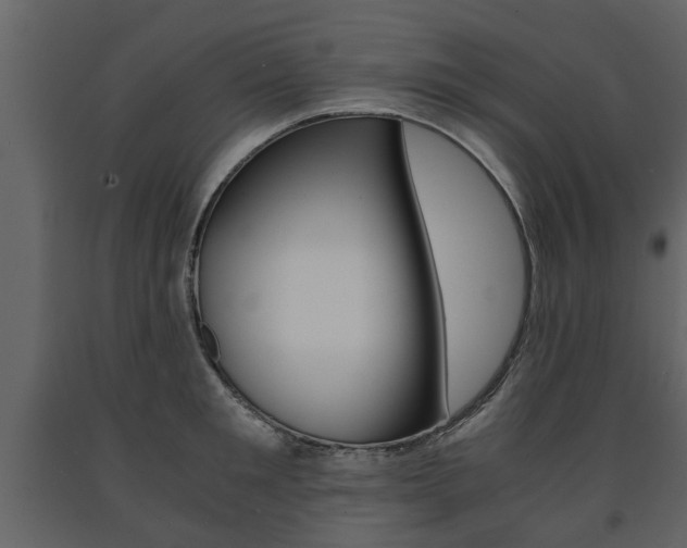 X0000091680901200708231105