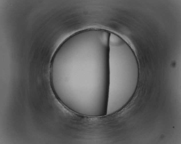 X0000091680903200708231105