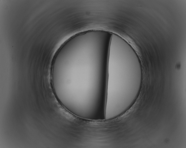 X0000091680904200708231105