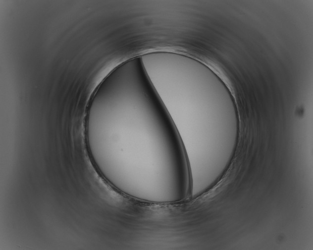 X0000091680906200708231105