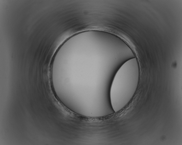 X0000091680907200708231105